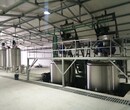 液体肥料自动包装生产线生产厂家