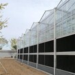 金沣温室自动化纹络型玻璃温室大棚建造图片