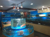 深圳新洲订做海鲜池费用 玻璃海鲜缸制作视频 欢迎咨询