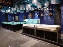 广州沙东海鲜池制作 海鲜酒吧海鲜池 欢迎来电垂询图片0