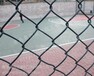 青岛围网安装-门球场网安装