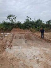 河北土壤固化剂厂家直销,泥土硬化剂图片