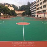 塑胶羽毛球场硅pu羽毛球场地塑胶篮球场铺装图片0