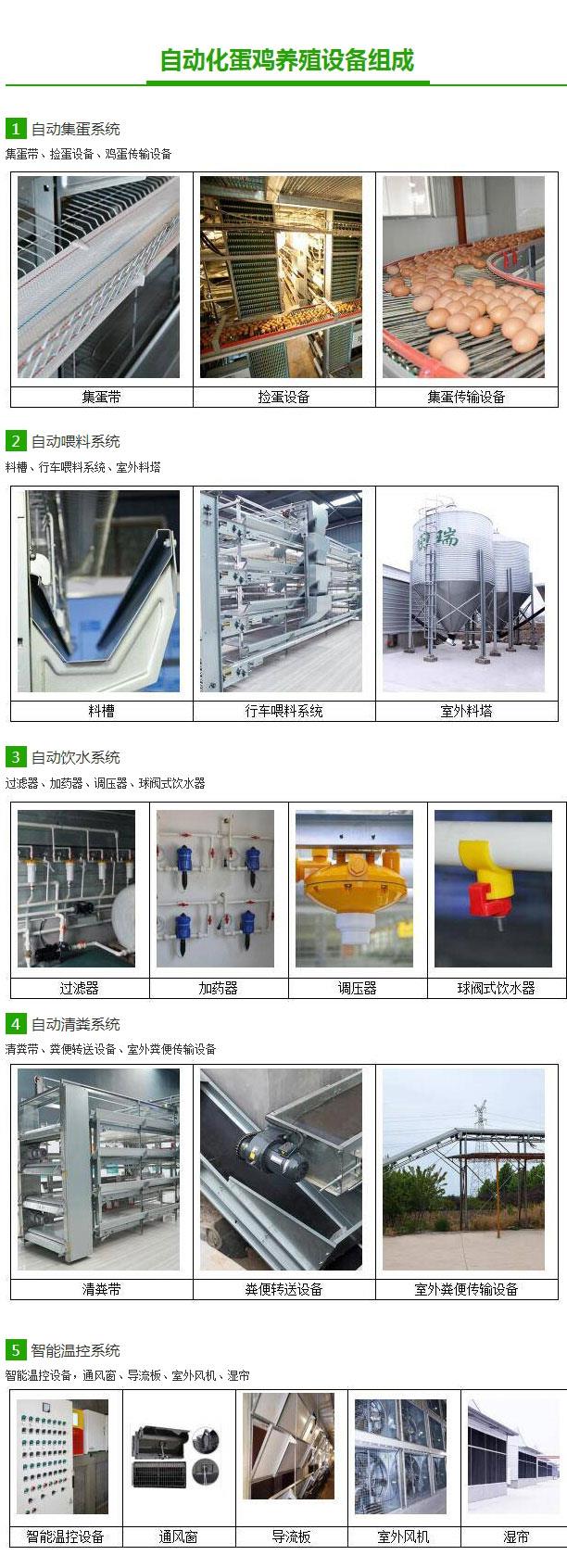 蛋鸡养殖自动化设备