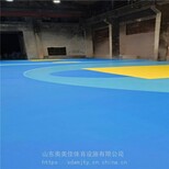 塑胶网球场合肥羽毛球场地施工塑胶篮球场建设图片0