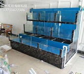 广州天河海鲜鱼缸制冷工程 海鲜池 欢迎在线咨询