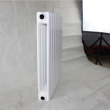 迪庆钢二柱散热器价格 博途钢制板式散热器 QFGZ406