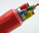 ZR-KFGP2铜带电缆耐火硅橡胶电缆图片