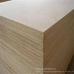辽源包装箱板辽源竹木胶合板木胶板质量可靠