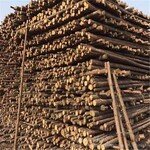 白山架杆木杆防汛木桩加工生产腾昌木业
