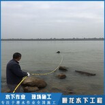 湖北水下作业 水下打捞图片0