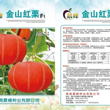 金紅栗南瓜種子