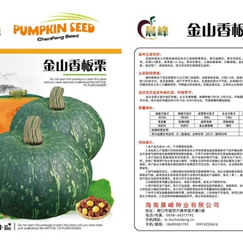 批發(fā)香板栗南瓜種子，廠家，產(chǎn)量高