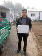 宝来利来泰肉禽用流感防控特异性免疫微生态粘膜免疫产品图片