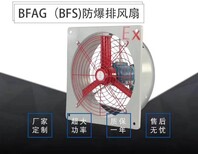 SEF-250边墙排风机价格防爆边墙排风机WEX-250EX4图片3