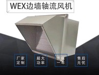 低噪声轴流风机WEX-300D4-055边墙风机图片0