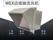 SEF-250边墙排风机价格防爆边墙排风机WEX-250EX4图片0
