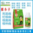 根腐病抑制专用菌根腐抑制专用菌厂家根腐病菌剂根小子防治根腐病