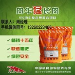 英美尔牛羊育肥饲料,养羊饲料配方比例图片3