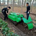 揭阳新款履带式旋耕机微型果园管理机小型田园管理机厂家图片4