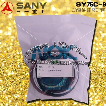 SANY/三一SY75C-9挖机大泵大臂动臂油缸油封修理包