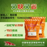 英美尔牛羊育肥饲料,养羊饲料配方比例图片2