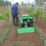 阳江农用果园履带旋耕机履带开沟机厂家家用小型山地旋耕机图片3