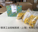 欧洲源头SIEMENS西门子备件8GK9720-0KK01穆泽翟工图片