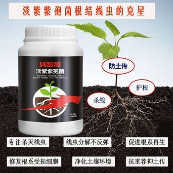 根腐线虫药根结线虫根结线虫药厂家线翘翘专注根结线虫病