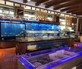 惠州大型玻璃魚缸制作材料 可移動海鮮池 海鮮池一體機