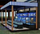 佛山海鮮玻璃魚缸制冷機價格壽司店海鮮池海鮮池擺放圖片