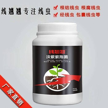 黄瓜根线虫抑制菌黄瓜根结线虫价格-线翘翘专注根结线虫病