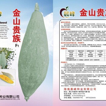 板栗南瓜種子，廠家