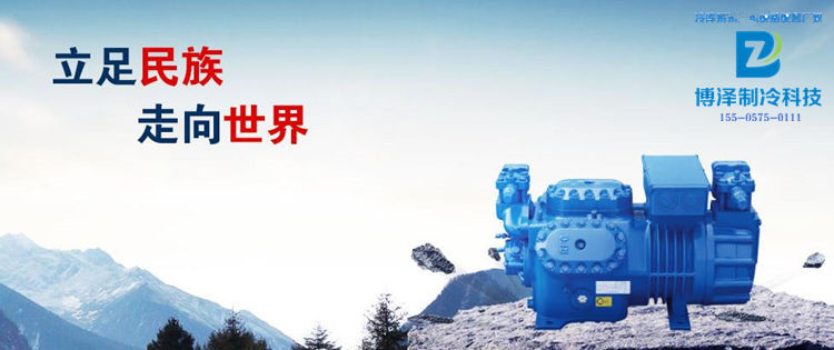 重庆大明莱福康RFC压缩机规格