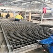 广东  排水沟盖板规格  排水沟网格板
