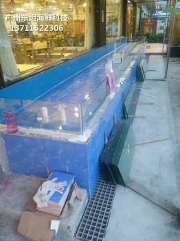 深圳福田海鲜池定制 玻璃鱼缸 欢迎在线咨询