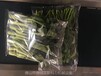 深圳蔬菜保鮮包裝機供港蔬菜打包機自動蔬菜包裝機
