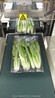 廣州葉菜自動包裝機伺服葉菜打包機深圳蔬菜包裝機