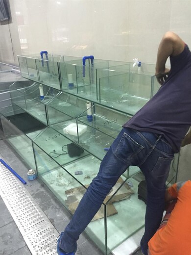 佛山普澜海鲜鱼池定做电话 大排档海鲜玻璃池 免费咨询
