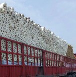 陶瓷纤维硅酸镁板 管,沧州复合硅酸盐板管厂家图片3
