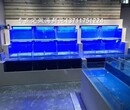 广州元岗玻璃海鲜池电话 火锅店海鲜池 免费咨询图片
