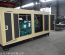 破碎机 粉碎机 养殖场用潍柴静音发电机组200KW 现货销售 厂价直