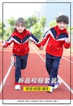 班服校服两件套春秋中小学生教师校服儿童班服学院风校服两件套套装冲锋衣TYF-8895