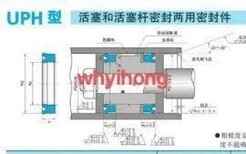 现货供应UPH型密封圈，UPH型密封圈厂家图片0