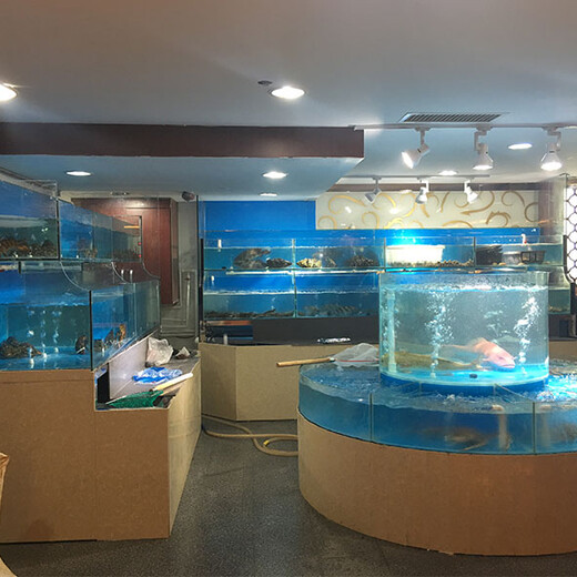 深圳石厦订做海鲜池工厂 海鲜池过滤潜水泵 免费咨询