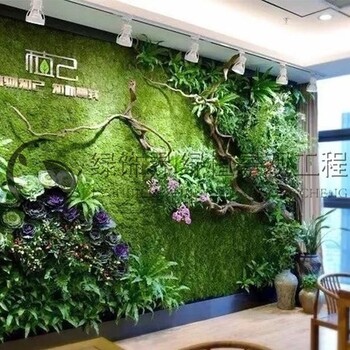 环保垂直绿化植物墙大厂 植物墙 生态修复 生态保健