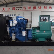 工程专用玉柴250KW柴油发电机组 玉柴发电机组销售价图片