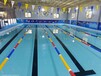 健身房泳池设备工程 钢结构泳池 拆装式游泳池 泳池设备工程商