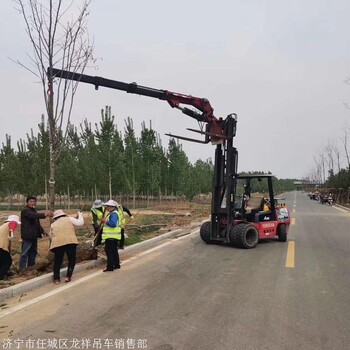 叉车吊车免费安装 叉车飞臂吊车生产  龙祥叉车吊车厂家