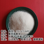 聚丙烯酰胺分子量高,絮凝沉淀剂污泥脱水剂图片2